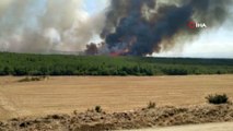 Tekirdağ’da orman yangını: Rüzgarın etkisiyle yangın Çanakkale’ye sıçradı
