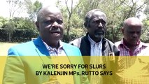 We're sorry for slurs by Kalenjin MPs, Rutto says