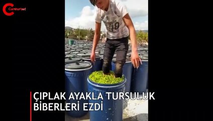 Çıplak ayakla turşuluk biberleri ezen gencin görüntüsü tepki topladı