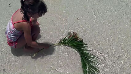 Sophia Isabella e Alice e João Paulo de Carvalho Lofiego em Aventuras Episódio  (19)