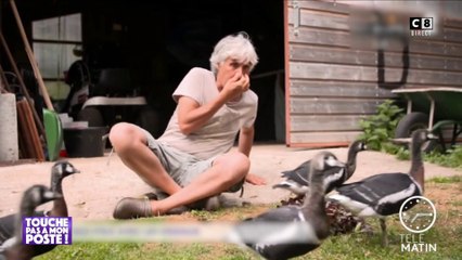 La télé de Luigi : L'homme qui murmurait à l'oreille des oies