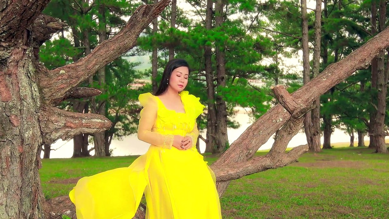 Đừng Nói Yêu Tôi - Dương Hồng Loan