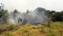 Bombeiros combatem incêndio às margens da BR-277