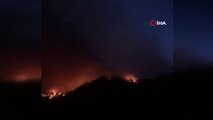 Adana’nın Pozantı ilçesindeki orman yangını devam ediyor