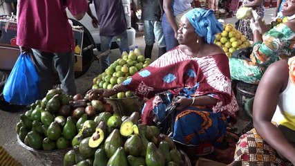 L'OCPV renforce le plan de mise en marché des produits vivriers pour la sécurité alimentaire.