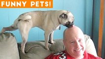 Funniest Pets & Animals of the Week Compilation May 2018 _ Hilarious Try Not to Laugh Animals Fail