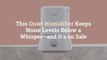 This Quiet Humidifier Keeps Noise Levels Below a Whisper—and It’s on Sale