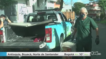 Héroes de la Fauna liberan tigrillo en Risaralda en medio del aislamiento preventivo obligatorio