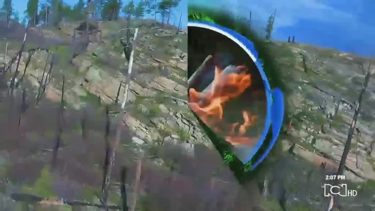 ¡Clima extremo! En parte del Ártico se registraron temperaturas de 38º centígrados