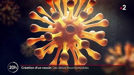 Covid-19 : les différentes étapes de création d'un vaccin