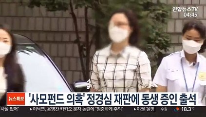 '사모펀드 의혹' 정경심 재판에 동생 증인 출석