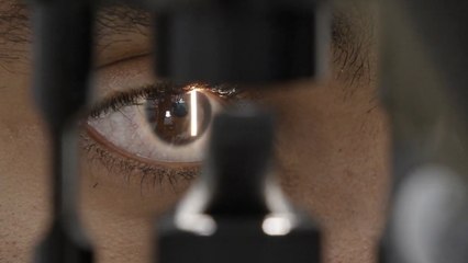 Hungarian Researcher May Have Cure For Blindness