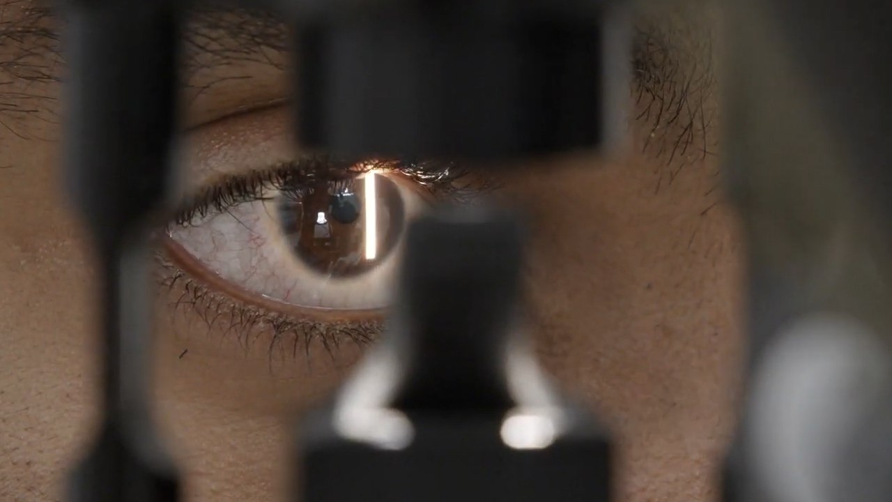 Hungarian Researcher May Have Cure For Blindness