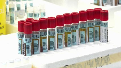 Vencer desconfianzas: el Gobierno español publica el código fuente de Radar COVID