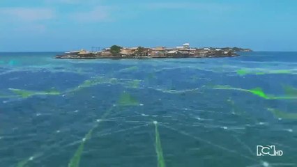 Emisión 7:00 p.m. / martes 16 de junio de 2020