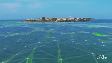 Emisión 12:30 p.m. / lunes 15 de junio de 2020