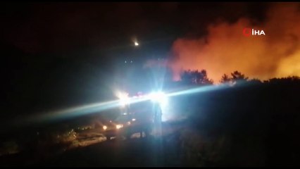 Manavgat'ta orman yangını
