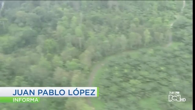 Duque anunció que la meta de este año es superar las 95.000 hectáreas de cultivos de cocaína erradicadas