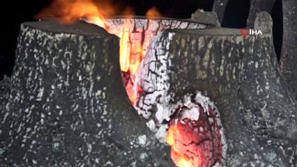 Antalya'da kırsal alan yangını kontrol altına alındı