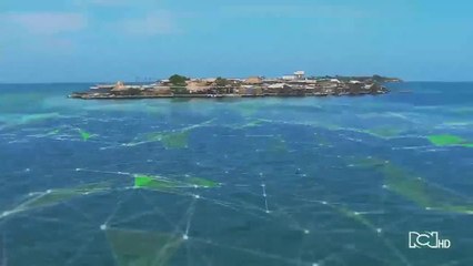 Emisión 7:00 p.m. / lunes 15 de junio de 2020