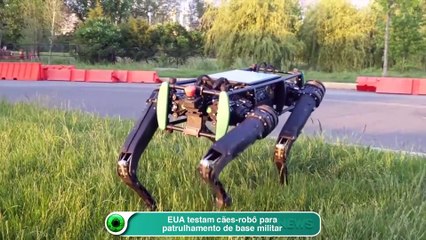EUA testam cães-robô para patrulhamento de base militar