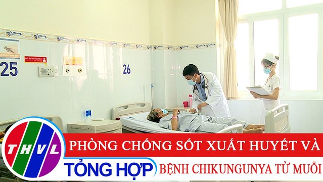 Sức khỏe của bạn: Phòng chống Sốt xuất huyết và bệnh Chikungunya từ muỗi
