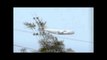 UFO Chases Military Aircraft C-17 Incredible Footage! 11_11_11
