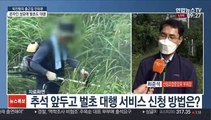 [출근길 인터뷰] 코로나로 비대면 추석 장려…온라인 성묘·벌초대행