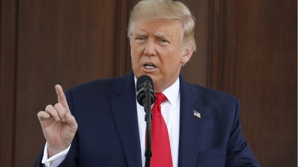 Trump's Dept. Homeland Security Appointees Downplay Serious Issues To Appease Trump