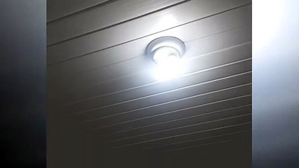 Internauta pede ajuda para retirada de abelhas em residência do Pacaembu