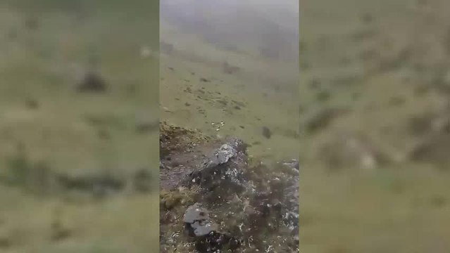 Impactante avistamiento de cóndores andinos en Santander