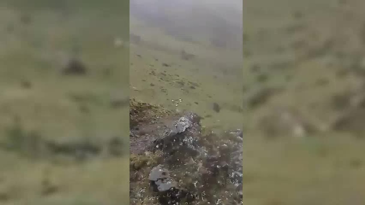 Impactante avistamiento de cóndores andinos en Santander
