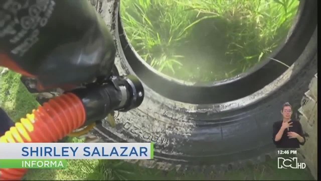 ¡Cuidado con el dengue! Estos son los síntomas y recomendaciones para prevenirlo