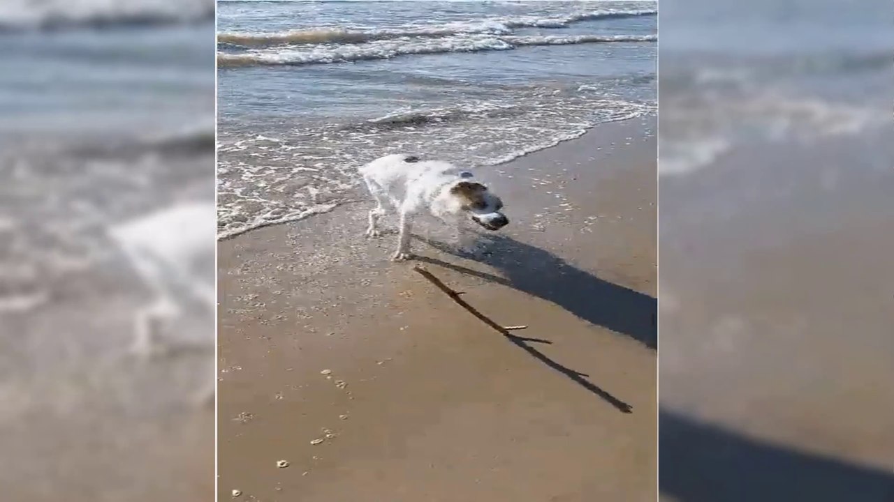 r/gifs | Daily juicy gifs memes | Funny Meme Gifs Showing That Daily you laugh | Gifs | Funny Video