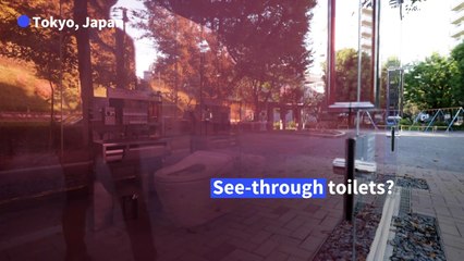 Loo and behold: Tokyo park gets transparent toilets