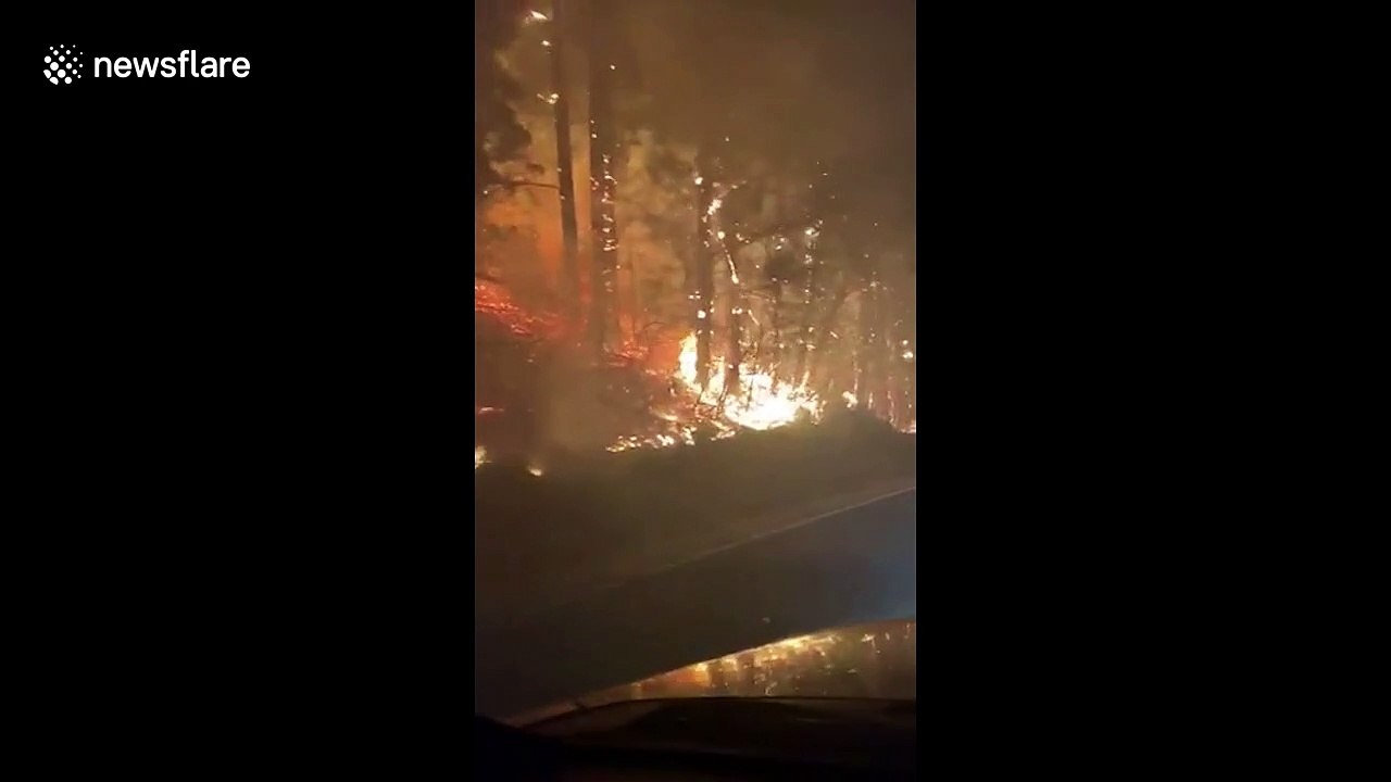 Motorist drives through raging flames of Echo Mountain Fire Complex in Oregon