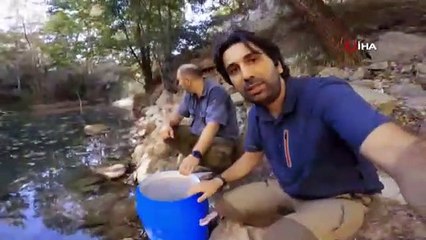 Kuruma noktasına gelen kanyondaki dereden yavru balıkları böyle kurtardılar