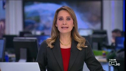 “Si Airbus le pagó algo alguien fue por pura imbecilidad”, Germán Efromovich