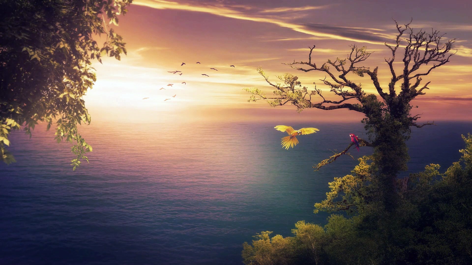 ⁣Sleeping Music - Calming Music - Relaxing Piano Music