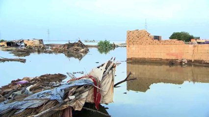 الدفاع المدني بالسودان.. الفيصانات دمرت نحو 70 ألف منزل