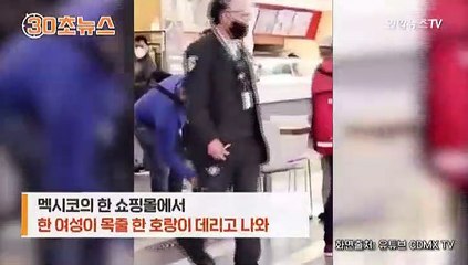 [30초뉴스] 쇼핑몰에 멸종위기 벵골 호랑이 목줄 차고 산책