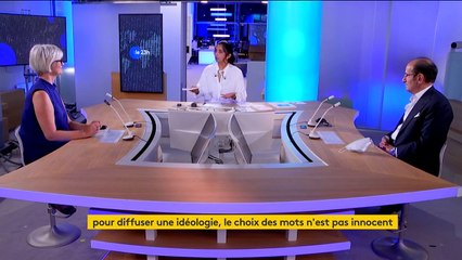 'L'appauvrissement de la langue conduit à l'appauvrissement de la pensée', selon Jean-Paul Fitoussi