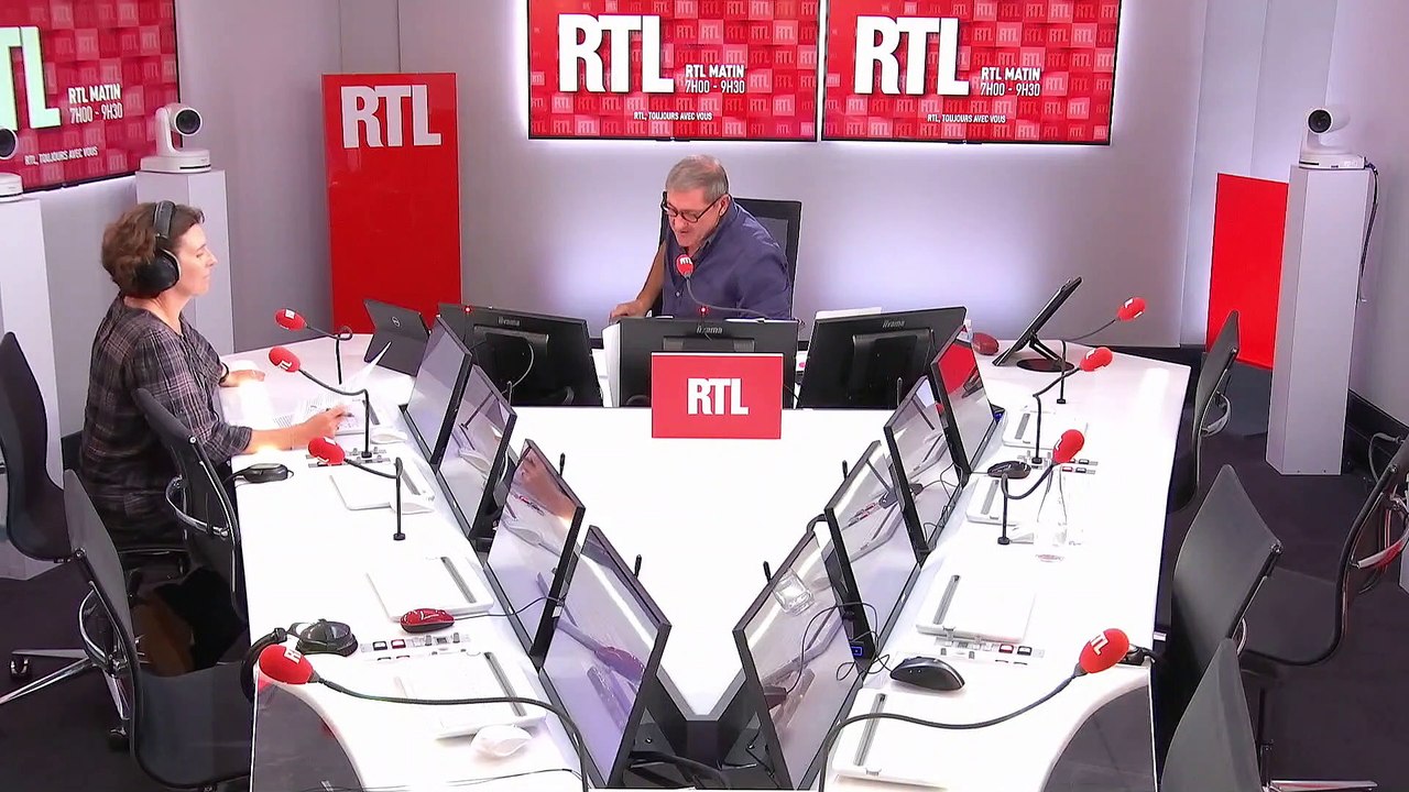 Pigeons voyageurs :  la passion des coulonneux ne faiblit pas dans le nord de la France