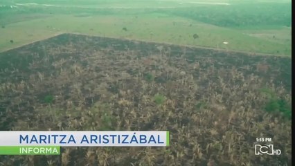 Se hundió proyecto que prohibía extracción de petróleo en la Amazonia