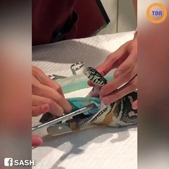 Insolite : ce serpent a mangé une serviette de plage en entier !