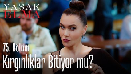 Halit'in Ender'e teklifi - Yasak Elma 75. Bölüm