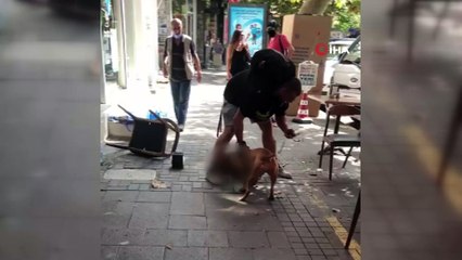 İstanbul’un göbeğinde pitbull dehşeti kamerada: “Köpeği vurun”