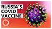 Sputnik V explainer: How Russia's coronavirus vaccine works