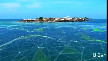 Emisión 12:00 p.m. / jueves 5 de marzo de 2020