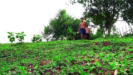 Manually Built Amazing Twin Sliding Swimming Pool in Jungle